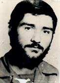 شهید محمدرضا بهشتی 