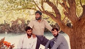 شهید محرابی