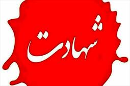 شهدای امنیت