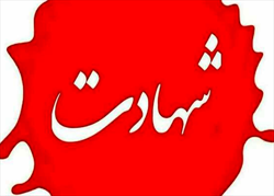شهدای امنیت
