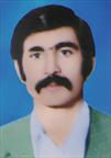 تیمور مرداقلی