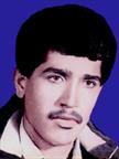  محمدایوب چاکری ناهوک
